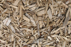 biomass boilers Spurstow
